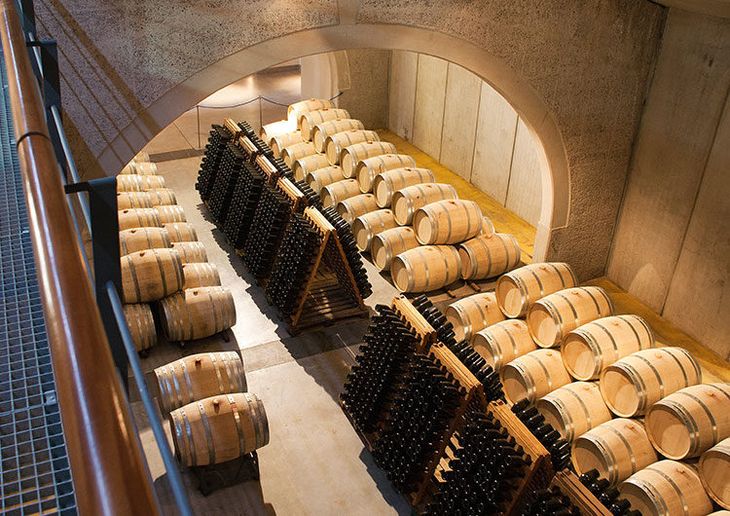 Mientras el Gobierno avanza con cambios estructurales, el sector del vino se divide entre apoyo y rechazo. Mientras el Gobierno avanza con cambios estructurales, el sector del vino se divide entre apoyo y rechazo.