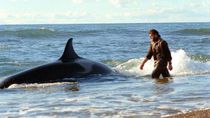 El guardafaunas amigo de las orcas volvió ser juzgado por violencia de género y otra vez zafó de la cárcel. El guardafaunas amigo de las orcas volvió ser juzgado por violencia de género y otra vez zafó de la cárcel.