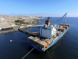 Las exportaciones en esta temporada se concentraron en el mercado de Estados Unidos.