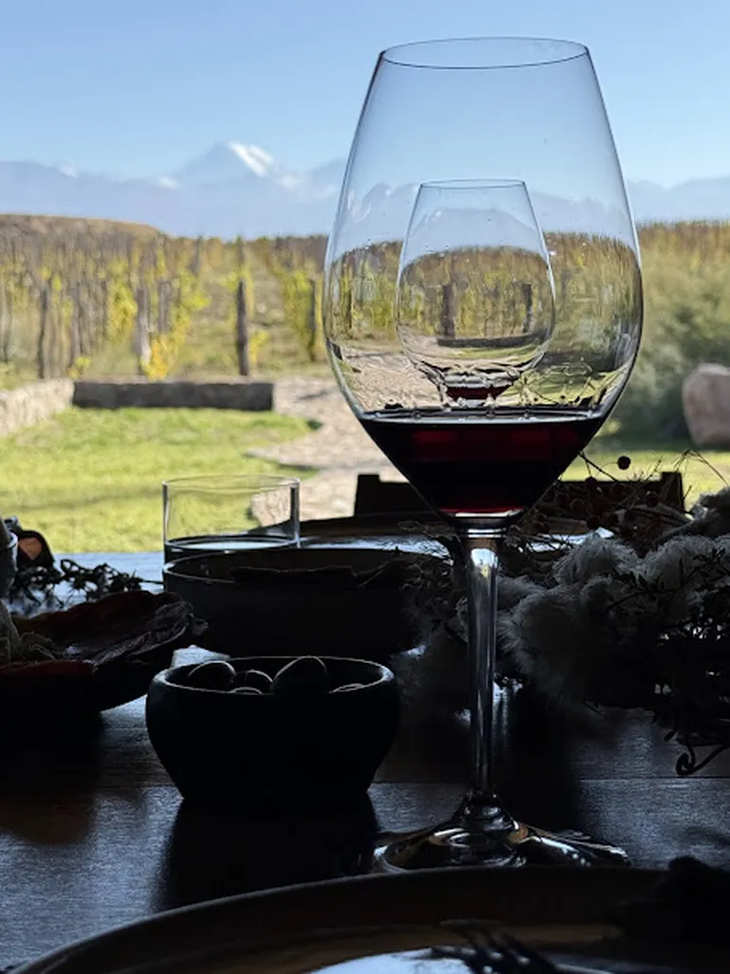 Uno de los grandes giros de estos 25 años fue el cambio de estilo de los vinos tintos. Uno de los grandes giros de estos 25 años fue el cambio de estilo de los vinos tintos.