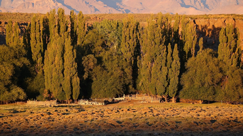 Los mallines de Neuquén y Río Negro elevan la receptividad vacuna y el valor del arriendo. | LM Neuquen Los mallines de Neuquén y Río Negro elevan la receptividad vacuna y el valor del arriendo.