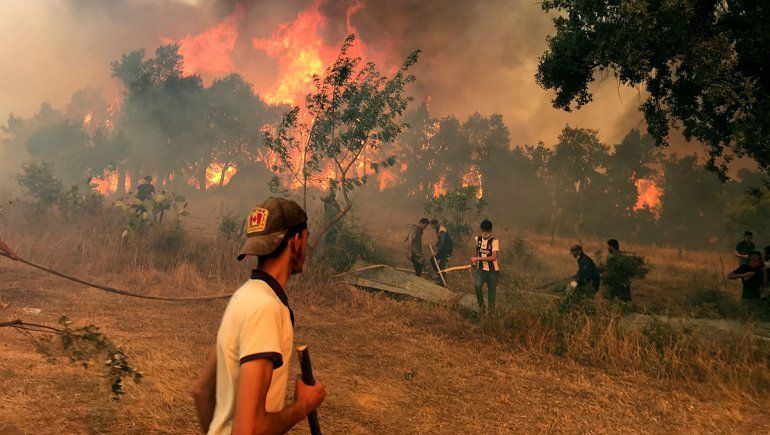 Incendios en Argelia: hay más de 90 víctimas