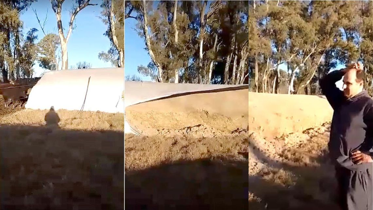 Productores rurales evalúan daños en cultivos tras actos de vandalismo en el interior del país. Foto: Perfil Productores rurales evalúan daños en cultivos tras actos de vandalismo en el interior del país. Foto: Perfil