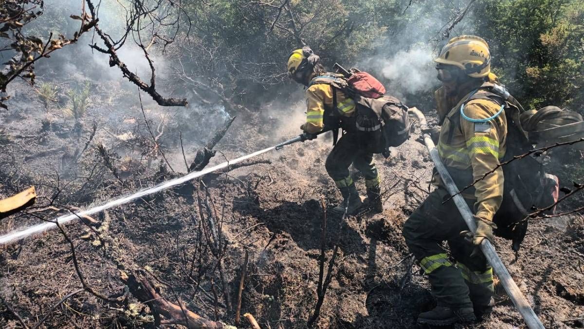 El incendio del Valle Magdalena contó con la participación de más de 1000 bomberos.