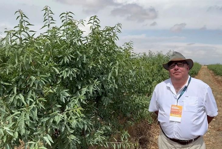 Almendras: Argentina acelera inversiones y se prepara para disputar el liderazgo regional a Chile