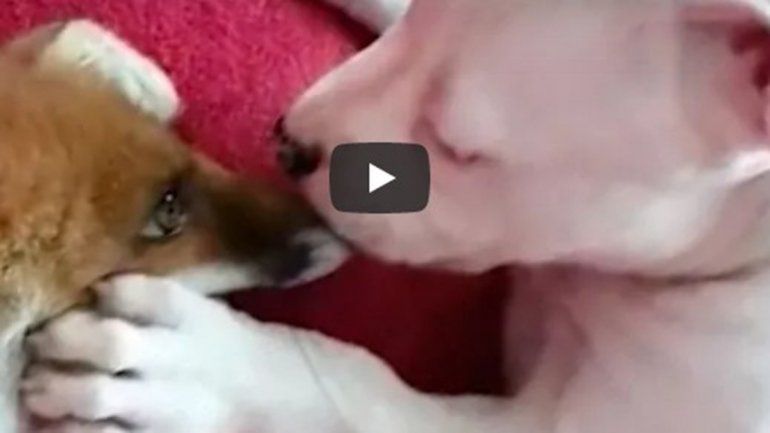 Este par no deja de sumar reproducciones en YouTube