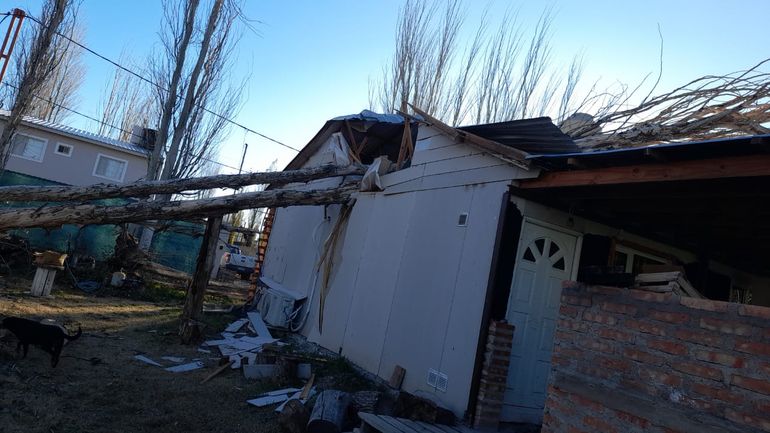 Por el viento en Neuquén, un árbol se desplomó y destruyó el techo de una casa