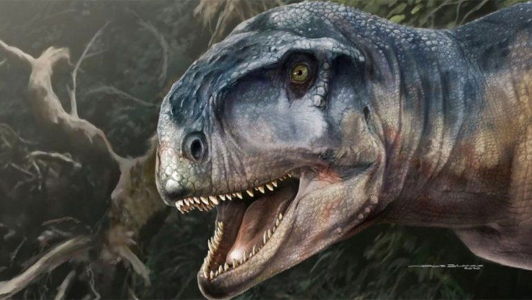 Hallan en Rincón de los Sauces el cráneo de un gran dinosaurio carnívoro