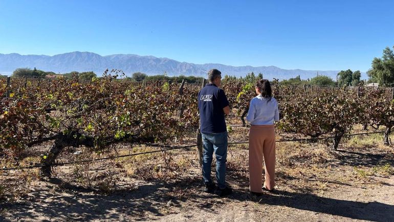 AFIP realizó controles en diferentes bodegas.&nbsp;