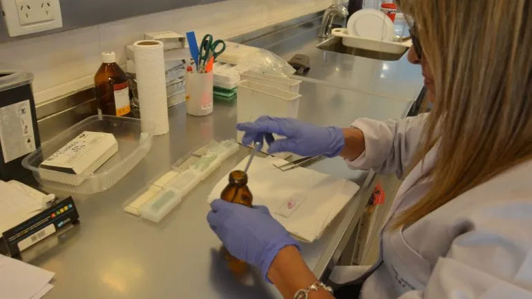 En laboratorio deberán establecer si esa sangre es del mismo grupo de Luciana Muñoz y de ser así, ordenar un ADN. En laboratorio deberán establecer si esa sangre es del mismo grupo de Luciana Muñoz y de ser así, ordenar un ADN.