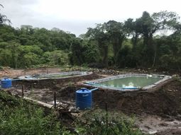 La Corte Suprema ordenó el cese de la explotación petrolera en el Parque Nacional Calilegua.
