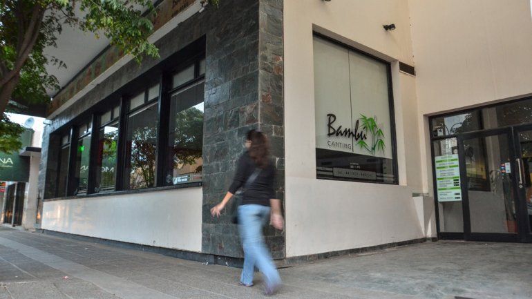 Bambú