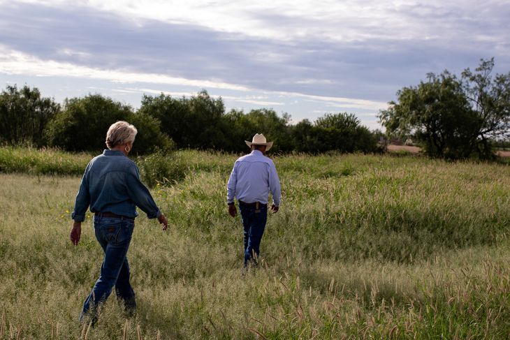 El ganado mexicano ya no cruza la frontera, dejando la industria de Texas al borde del cierre.