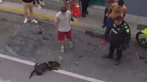 El hecho se produjo mientras la Policía intentaba reducir a un hombre en la vía pública. El hecho se produjo mientras la Policía intentaba reducir a un hombre en la vía pública.