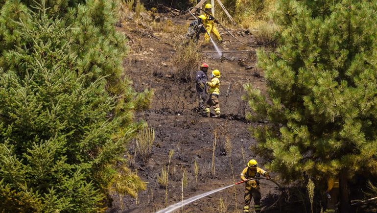 Se desconoce qué dio inicio al fuego. Se desconoce qué dio inicio al fuego.