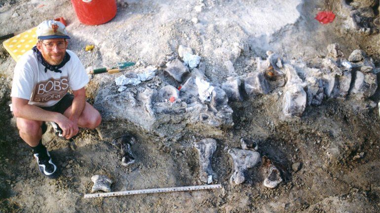 Bigfoot (Pie grande) es el nombre con el que han bautizado al dinosaurio.