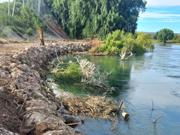 extienden la costa de allen para proteger una reserva de aves