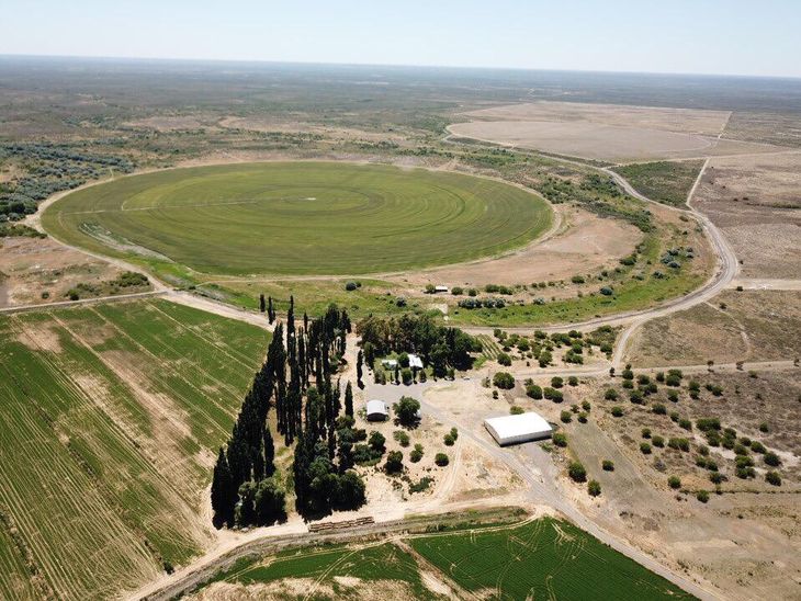 De un desierto a la producción agrícola en escala. El desafío que se viene para la región de Patagonia norte. De un desierto a la producción agrícola en escala. El desafío que se viene para la región de Patagonia norte.
