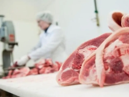 Las importaciones se aceleran y la competencia se hace cada vez más fuerte. Las importaciones se aceleran y la competencia se hace cada vez más fuerte.