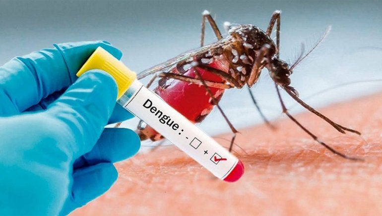 El dengue, grave problema porteño: 70% es autóctono