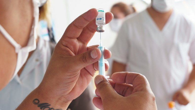 COVID: la vacuna Argenvac221 ya entró en etapa preclínica