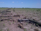 Alambrados destruidos: Símbolo de los ataques que busca penalizar el nuevo proyecto de CRA.