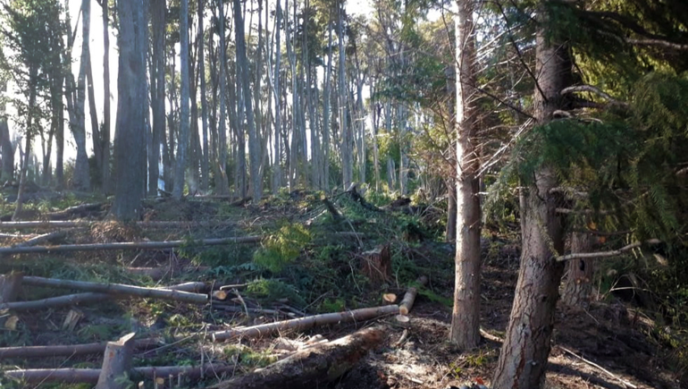 Una ciudad de la cordillera, con multas millonarias por contaminación ambiental