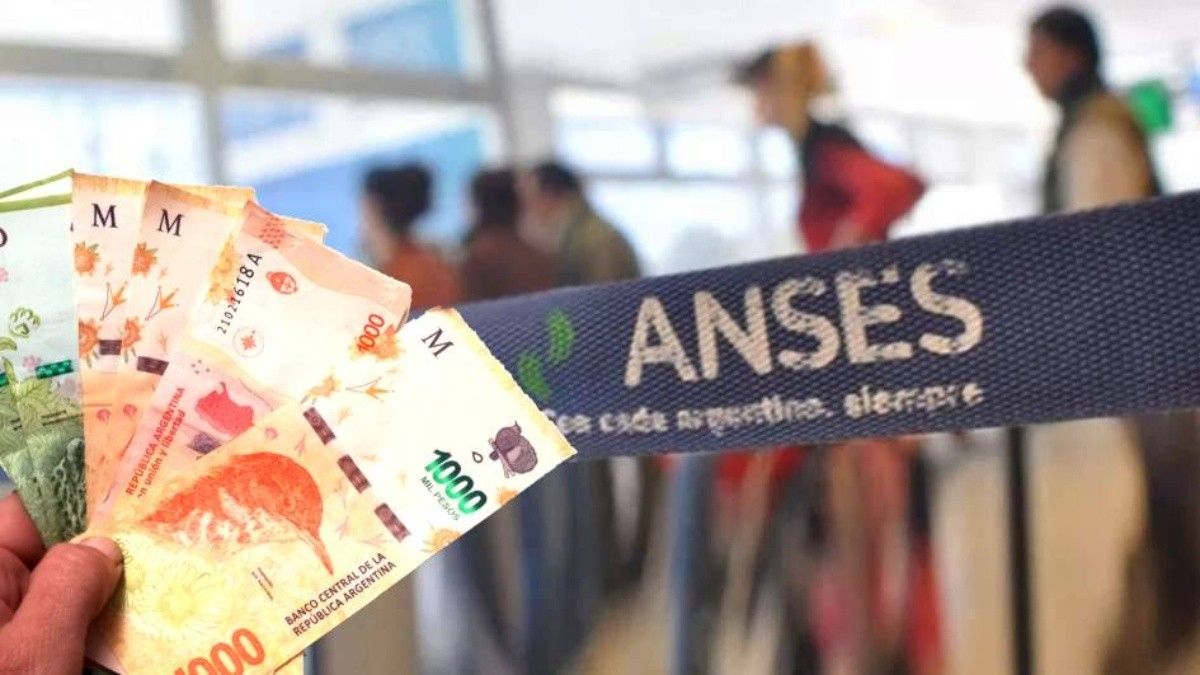 www anses gob ar