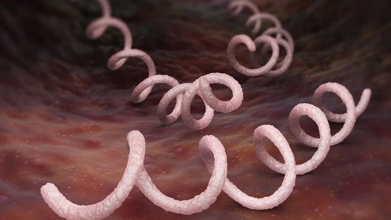 Alarmante aumento de sífilis y gonorrea en Europa