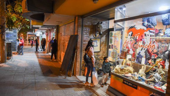 El comercio engloba a más de la mitad de las unidades económicas que están en actividad en la provincia.&nbsp;
