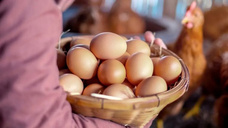 El Día Mundial del Huevo se celebra desde 1996.
