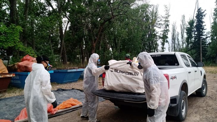 &ldquo;Los productores participan, la entrega va en aumento, pero a&uacute;n siguen siendo pocos&rdquo;.