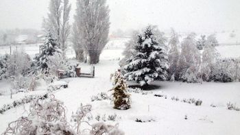 Asimismo, las temperaturas serán muy bajas, con máximas de apenas 3°C el jueves y cerca de 1ºC el viernes y muy baja sensación térmica. Asimismo, las temperaturas serán muy bajas, con máximas de apenas 3°C el jueves y cerca de 1ºC el viernes y muy baja sensación térmica.