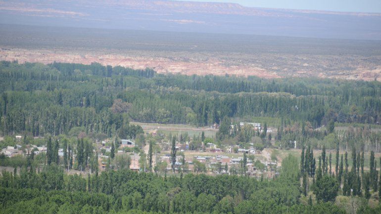 Plottier va a sumar 2 mil especies para  reforestar