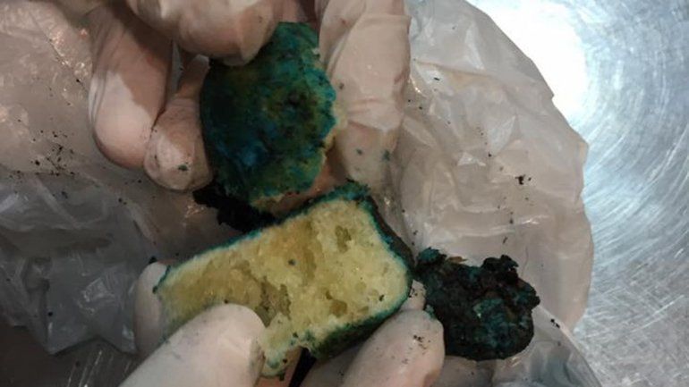 Denuncian el envenenamiento de perros en Villa La Angostura