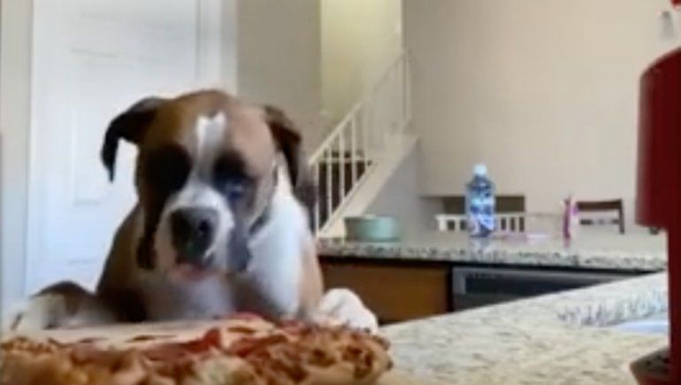 El desopilante video no deja de sumar reproducciones en YouTube