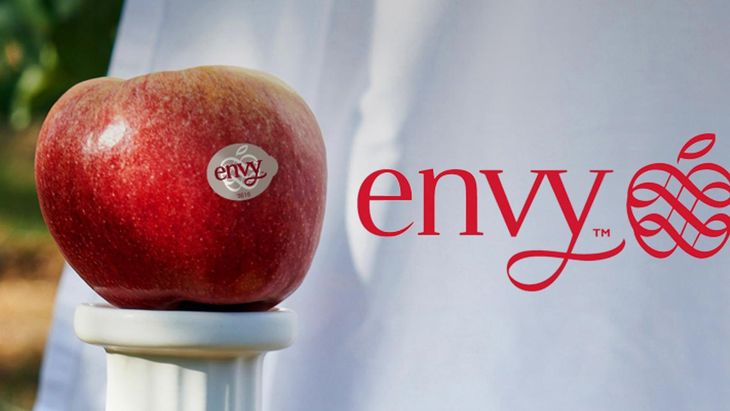 Un crecimiento sostenido y una estrategia global llevaron a ENVY&trade; a superar los US$ 500 millones en ventas.