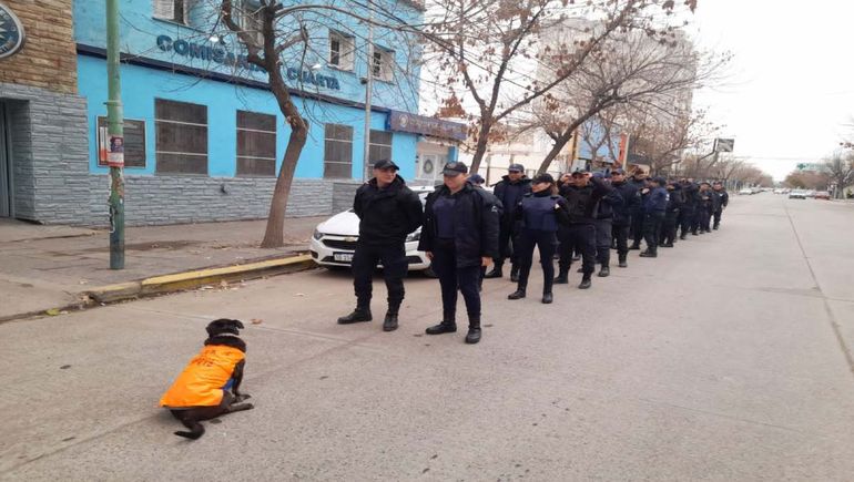 La Juana, una perra canchera: a cargo del operativo del partido de Cipo