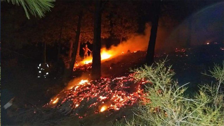 Un incendio forestal preocupó a toda la población de Las Ovejas