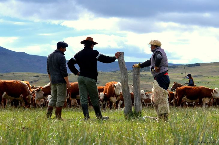 El gobierno busca establecer un estatus sanitario único. PH Leo Casanova-SRN El gobierno busca establecer un estatus sanitario único. PH Leo Casanova-SRN
