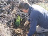 Los recursos naturales provenientes de los bosques nativos argentinos no son ajenos al proceso global de deforestación y degradación. Foto: gentileza