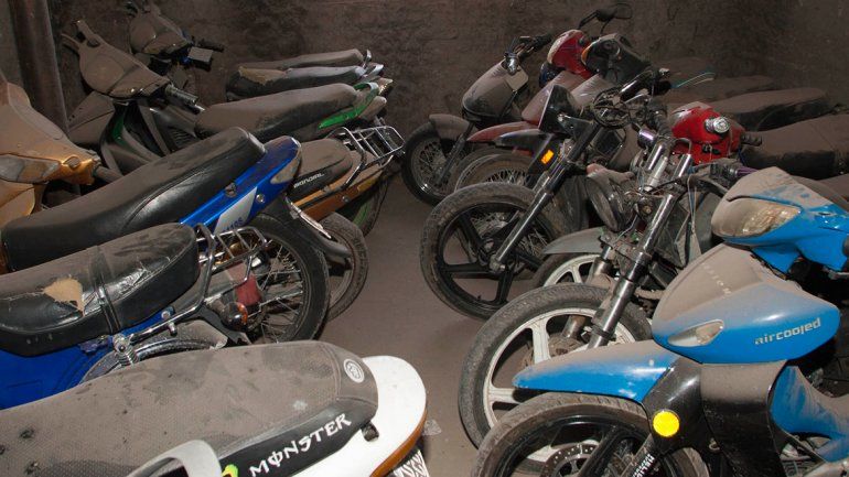 Los lotes deben estar en óptimas condiciones de higiene y cercados.