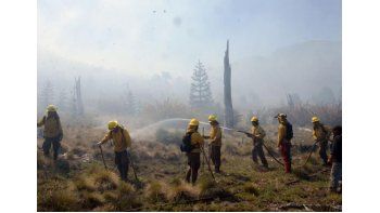 el fuego nos esta ganando la batalla el fuego nos esta ganando la batalla