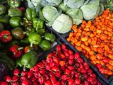 Productores, referentes y especialistas definen la agenda hortícola.