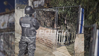 Los agentes secuestraron 33 envoltorios con clorhidrato de cocaína. Los agentes secuestraron 33 envoltorios con clorhidrato de cocaína.