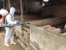 El Senasa reforzó controles para evitar que productos como el jamón ingresen con riesgo sanitario al país. El Senasa reforzó controles para evitar que productos como el jamón ingresen con riesgo sanitario al país.