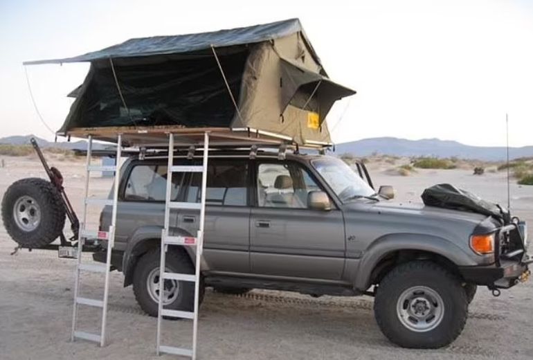 El ataque de la leona se produjo cuando el empresario salió de la tienda de campaña que tenía montada sobre su vehículo para orinar. El ataque de la leona se produjo cuando el empresario salió de la tienda de campaña que tenía montada sobre su vehículo para orinar.