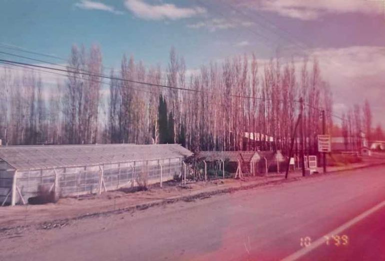 El cierre del vivero japonés contado con imágenes: cinco décadas de verde y memoria en Neuquén