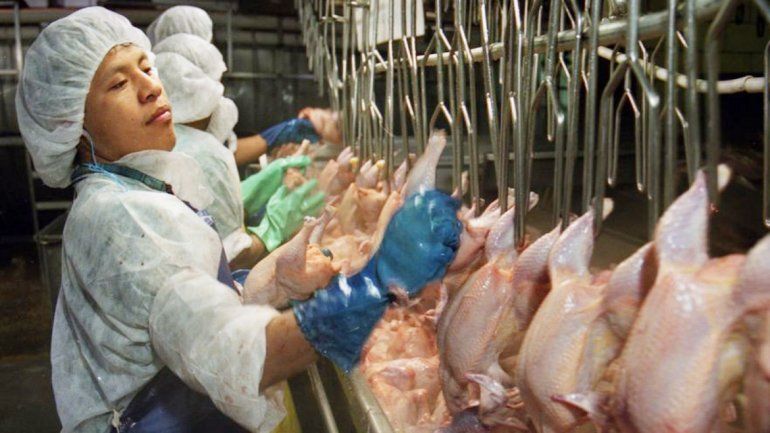 Trabajadores de una línea de producción avícola de Alabama.