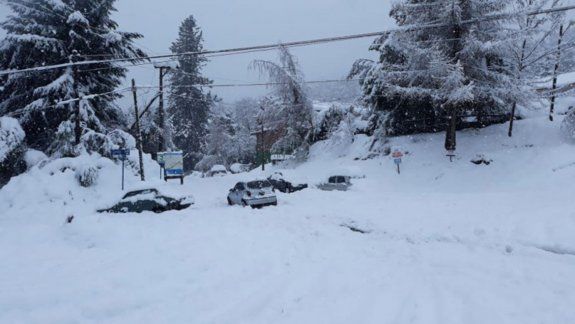 La Villa en alerta amarilla por el temporal: cayeron unos 40 árboles y no hay luz ni agua